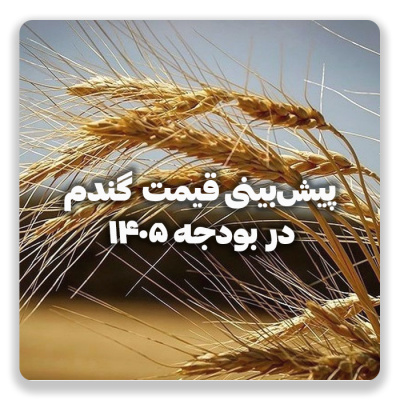 پیشنهاد نرخ ۴۵ هزار تومانی برای خرید تضمینی گندم در بودجه ۱۴۰۵